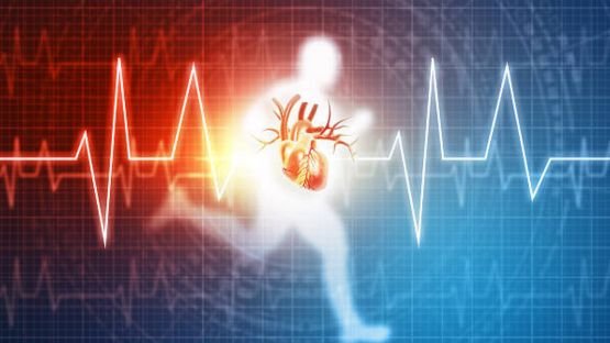 L'ampleur du bénéfice cardiométabolique de l'exercice physique varie selon les moments de la journée