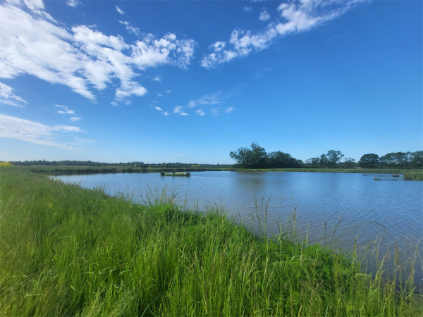 Le carnet de route de Thibaud Damy : de la Charente-Maritime à Bordeaux - Image 8