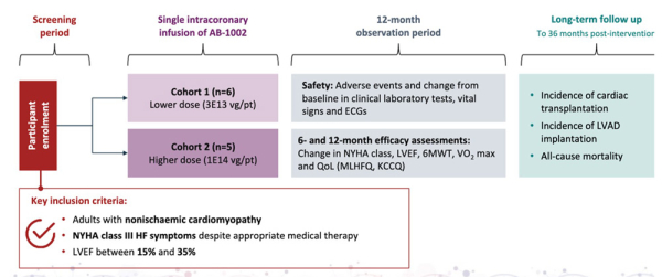 AB-1002-gene-therapy-figure1