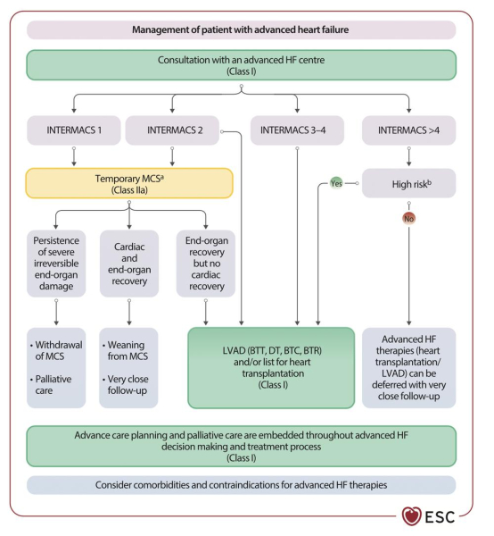ESC 2026 - Insuffisance cardiaque : Figure 3 - Prise en charge de l'insuffisance cardiaque avancée.