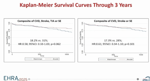 Kaplan-Meier Survival Curves Through 3 Years