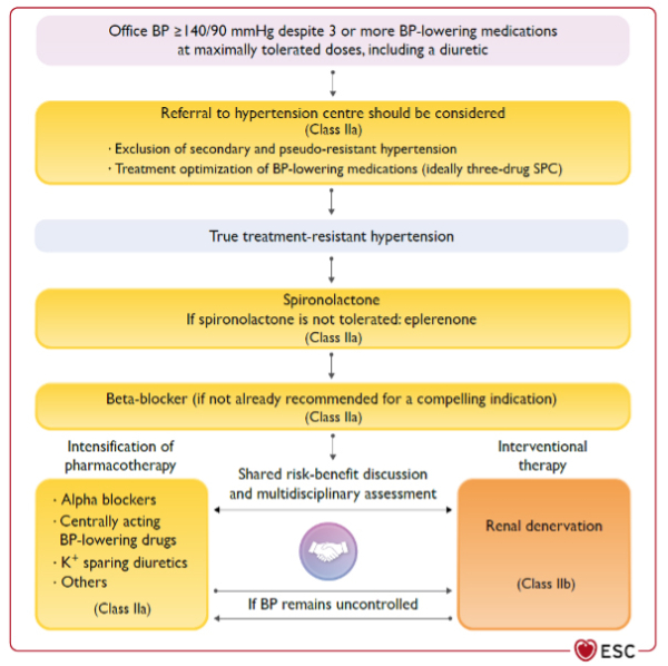 Figure 4 : Algorithme de traitement de l’hypertension artérielle résistante (ESC 2024) 