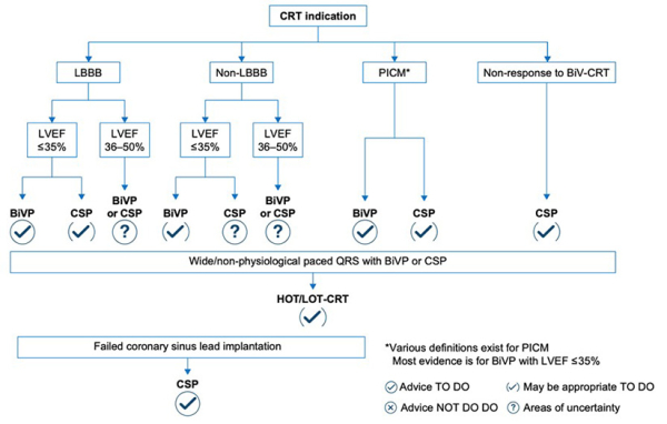 Figure3-EHRA 2025 : Document de consensus européen sur la stimulation du système de conduction