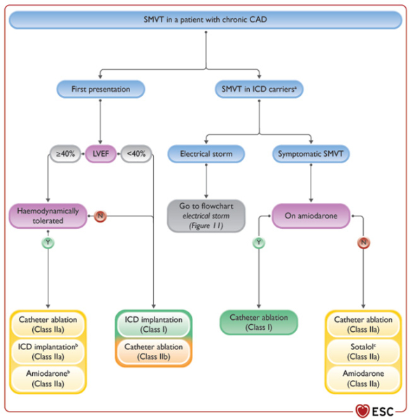 Figure : Arythmies ventriculaires chez le patient coronarien (2)