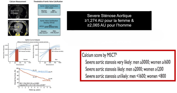 Clavel et al. J Am Coll Cardiol 2014;64: 1202 – 1213 Vahanian et al. Eur Heart J. 2022 Feb 12;43(7):561-632