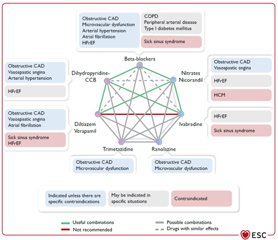 Figure 4 : Combinaisons des traitements anti-ischémiques 