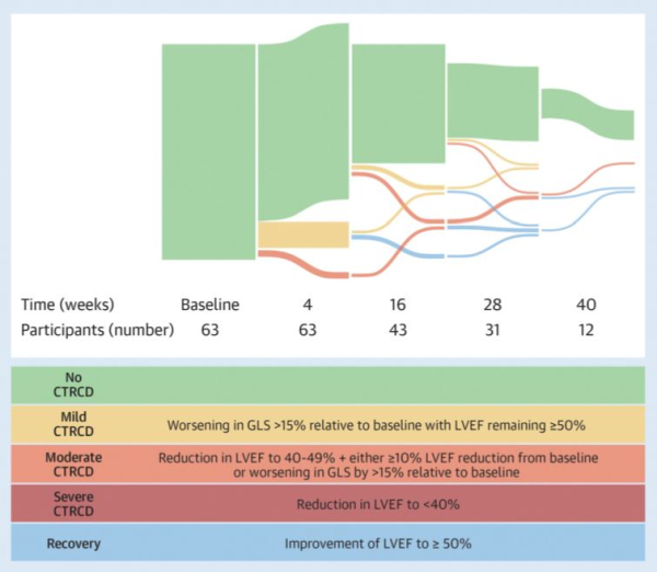 Figure centrale de “Cardiotoxicity of BRAF/MEK inhibitors, a longitudinal study incorporating contemporary definitions and risk scores” Claire Glen et al. JACC Cardiooncology 2023, In Press.