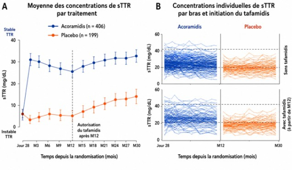 Trajectoires intra-individuelles de la transthyrétine sérique sous acoramidis versus placebo - HFA 2026