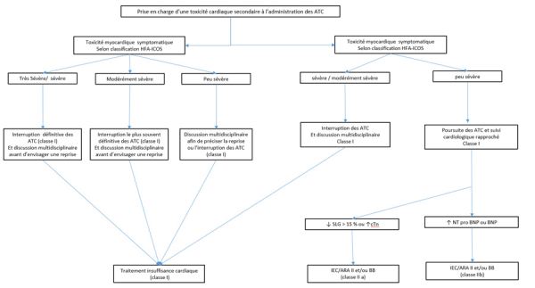 Figure 1 : d’apres Lyon AR,et. 2022 ESC Guidelines on cardio-oncology developed in collaboration with the European Hematology Association (EHA), the European Society for Therapeutic Radiology and Oncology (ESTRO) and the International Cardio-Oncology Society (IC-OS). Eur Heart J. 2022 Aug 26:ehac244. doi: 10.1093/eurheartj/ehac244. Epub ahead of print. PMID: 36017568.