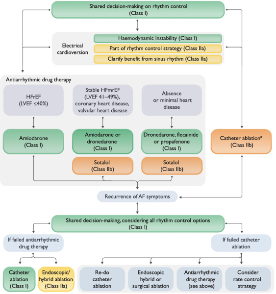 ESC 2024 : recommandations sur la fibrillation atriale - Figure 3 : Contrôle du rythme dans la FA persistante