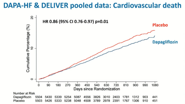 Figure 4. Courbes de survie pour la mortalité cardiovasculaire.