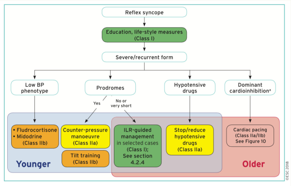 Schéma du traitement des causes réflexes de la syncope (ESC 2018)