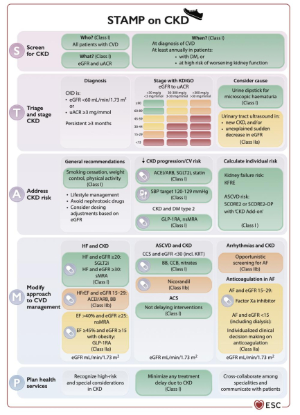 ESC 2026 recommandations maladies rénales chroniques : Figure 3 - Résumé de la place des traitements médicamenteux en cas de maladie rénale chronique