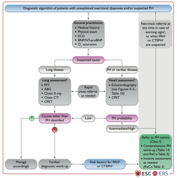 Figure 2. Algorithme diagnostique de l’hypertension pulmonaire