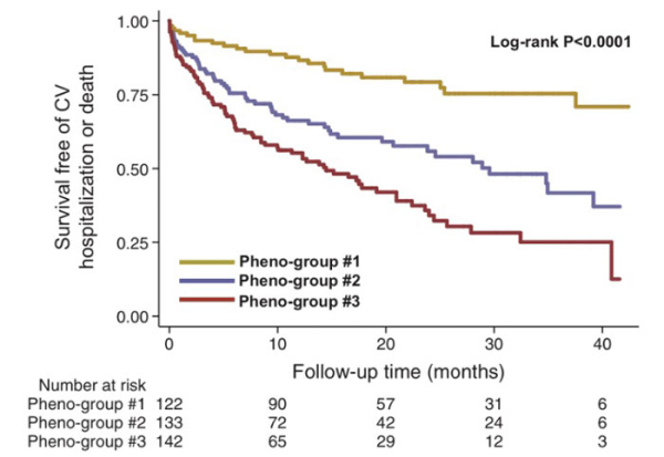Courbe de survie de Kaplan-Meier classique évaluant la survenue d’hospitalisations pour cause cardiovasculaire ou décès dans chaque phénogroupe.