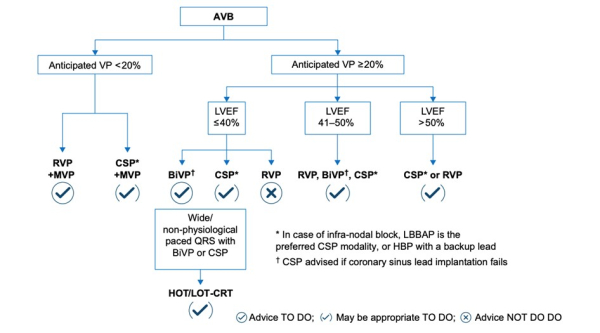 Figure1-EHRA 2025 : Document de consensus européen sur la stimulation du système de conduction