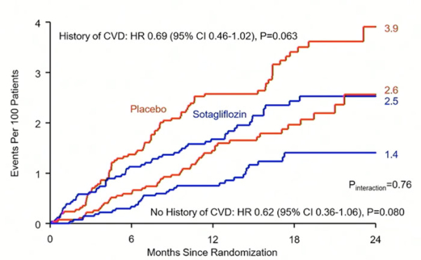 Figure 5. AVC dans les groupes Sotagliflozine et Placebo en fonction de la présence ou de l’absence d’antécédent de maladie cardiovasculaire.