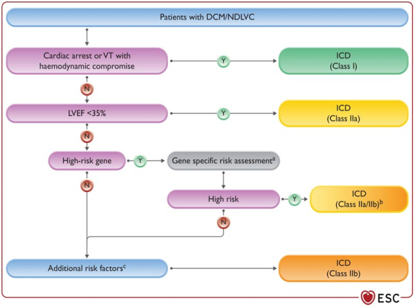 Stratification du risque rythmique en cas de CMD 