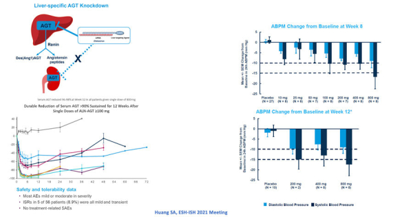 ARNi ciblant l’AGT hépatique