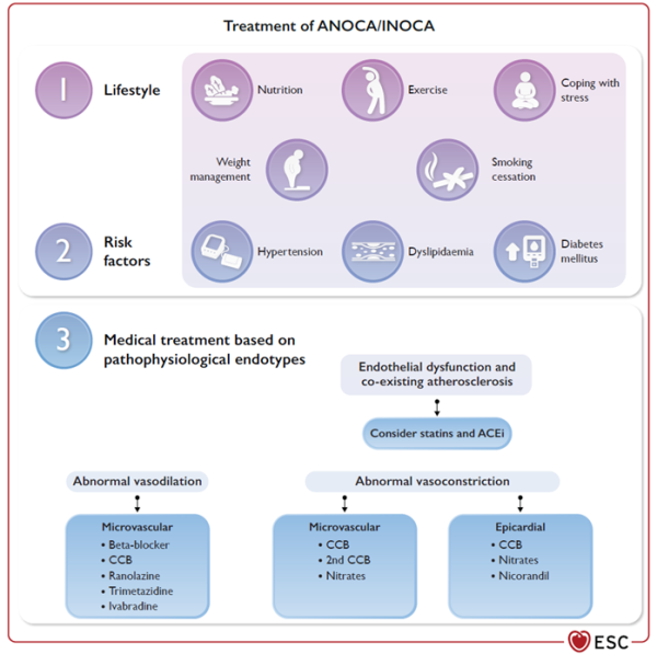 Figure 6 : Stratégie thérapeutique des ANOCA / INOCA 