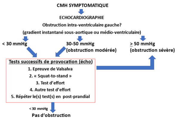 Figure 1 : L’absence d’obstruction basale (ou un gradient < 50mmHg) doit amener à des échocardiographies avec tests de provocation (épreuve de Valsalva et effort, éventuellement sensibilisés par la position debout et/ou en post-prandial, ou le passage brutal de la position accroupie à la position debout ("squat-to-stand"), qui permettent souvent de démasquer une obstruction latente, dont la présence comme l’importance sont corrélées à la gêne fonctionnelle et au pronostic.