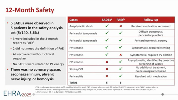12-Month Safety