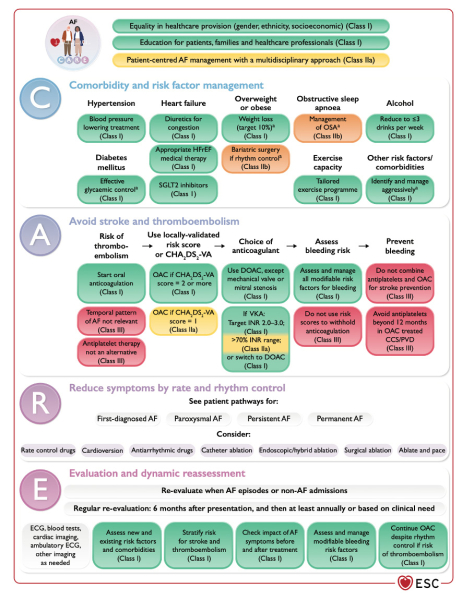 ESC 2024 : recommandations sur la fibrillation atriale - Figure 1
