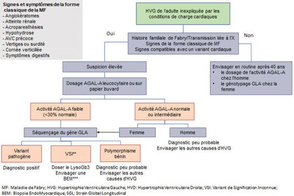 Signes et symptômes de la forme classique de la MF