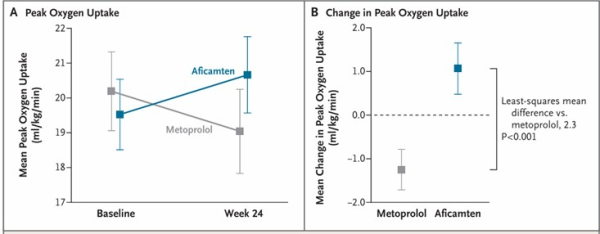 Figure 1.jpg