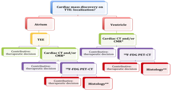Le syndrome du Caméléon - Tumeurs cardiaques - Diagnostic 