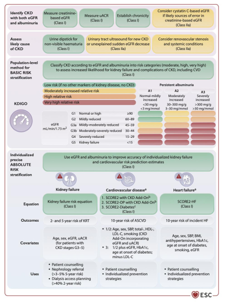 ESC 2026 recommandations maladies rénales chroniques : Figure 2 - Classification de la CKD et stratification du risque.