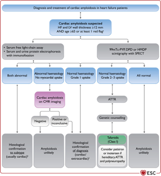 Figure 7 : "Diagnosis and treatment of cardiac amyloidosis in heart failure patients"