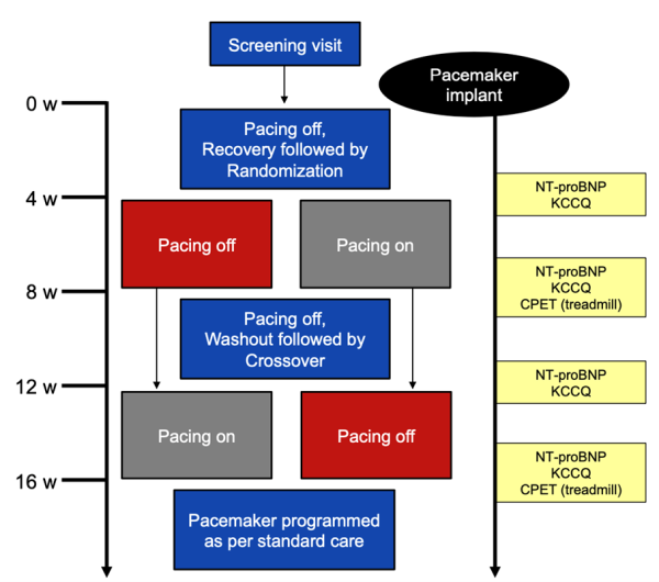 Figure-1_RAPID-HF