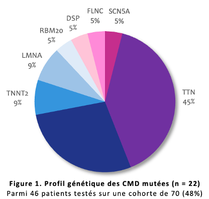 Profil génétique et pronostic des cardiomyopathies dilatées chez les afro-caribéens sur une cohorte martiniquaise.png
