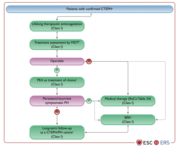 Figure 10. Stratégie de prise en charge de l’hypertension pulmonaire post embolique chronique