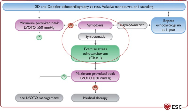 Arguments pour la distinction entre les cardiomyopathies quelque soit la FEVG est importante dans les différents 