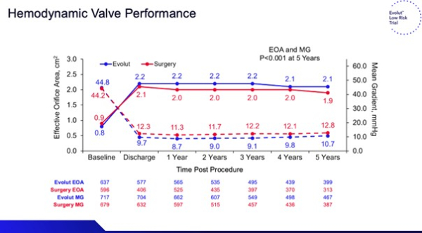 Performance hémodynamique