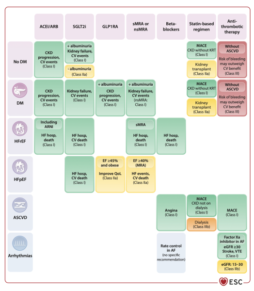 ESC 2026 recommandations maladies rénales chroniques : Figure 3 - Résumé de la place des traitements médicamenteux en cas de maladie rénale chronique