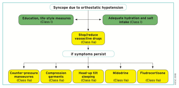 Schéma du traitement des hypotensions orthostatiques corrélées aux syncopes (ESC 2018)