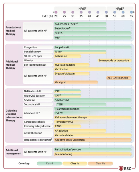 ESC 2026 - Insuffisance cardiaque : Figure 1 - Vue d'ensemble des traitements de l'insuffisance cardiaque en fonction de la FEVG.