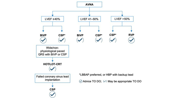 Figure2-EHRA 2025 : Document de consensus européen sur la stimulation du système de conduction