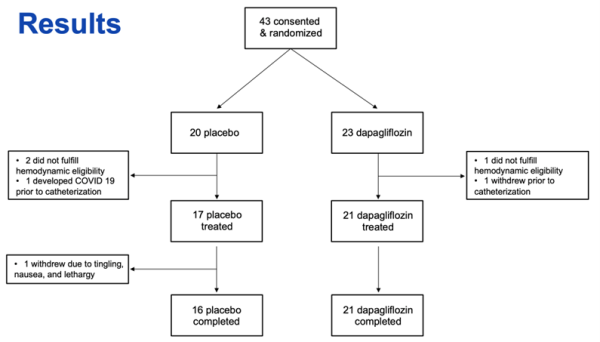 Figure-1_CAMEO-DAPA