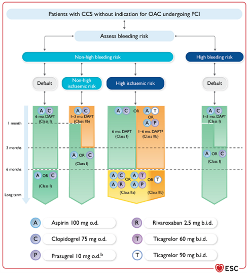 Figure 3 : stratégie antiaggrégante post-angioplastie d’un SCC en l’absence d’anticoagulant 