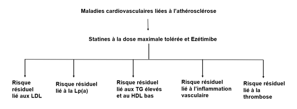 Maladies cardiovasculaires liées à l'athérosclérose