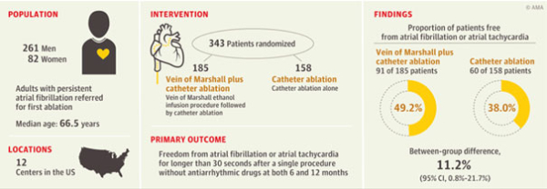 Stratégies d’ablation dans la FA persistante