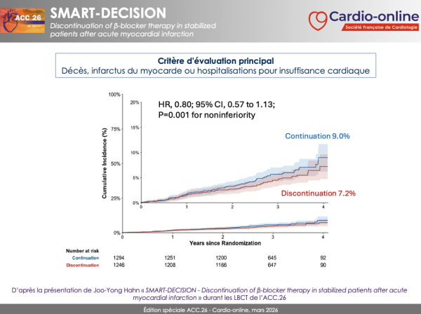 SMART DECISION - critere &eacute;valuation principal