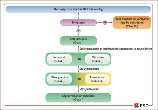 une-CMH-toujours-symptomatique-figure9