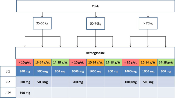 details-pratiques-concernant-administration-de-la-supplementation-martiale-chez-le-patient-insuffisant-cardiaque