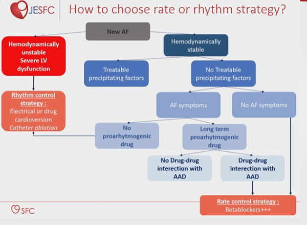 Figure 4. Stratégie antiarythmique en cas de FA et de cancer 