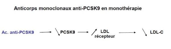 Anticorps monoclaux anti-PCSK9 en monothérapie